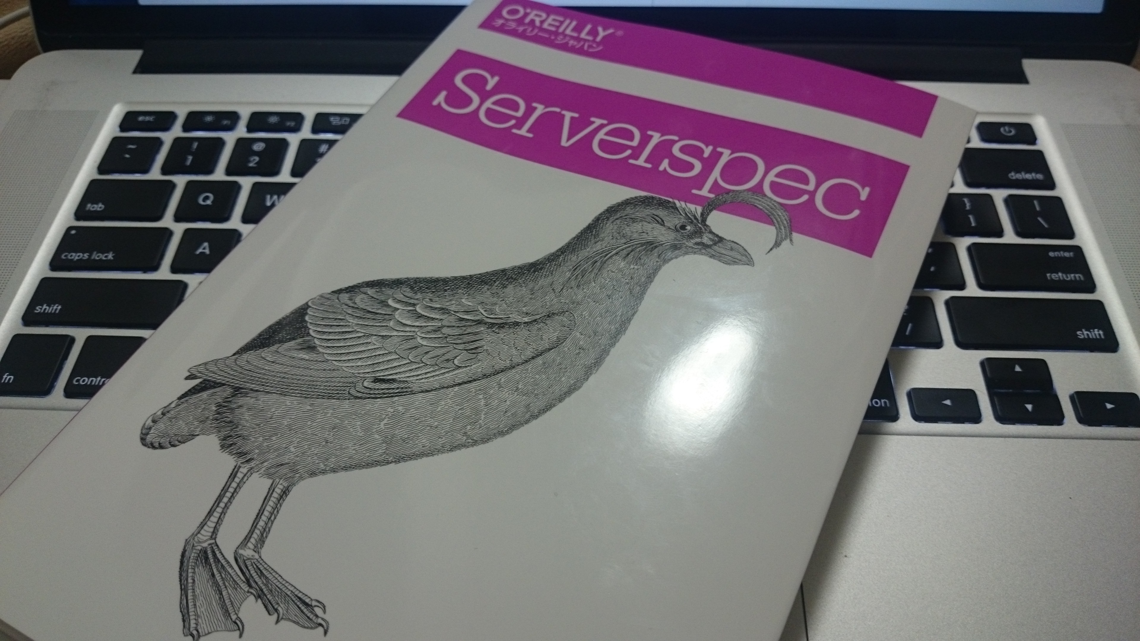 "Serverspec book cover"